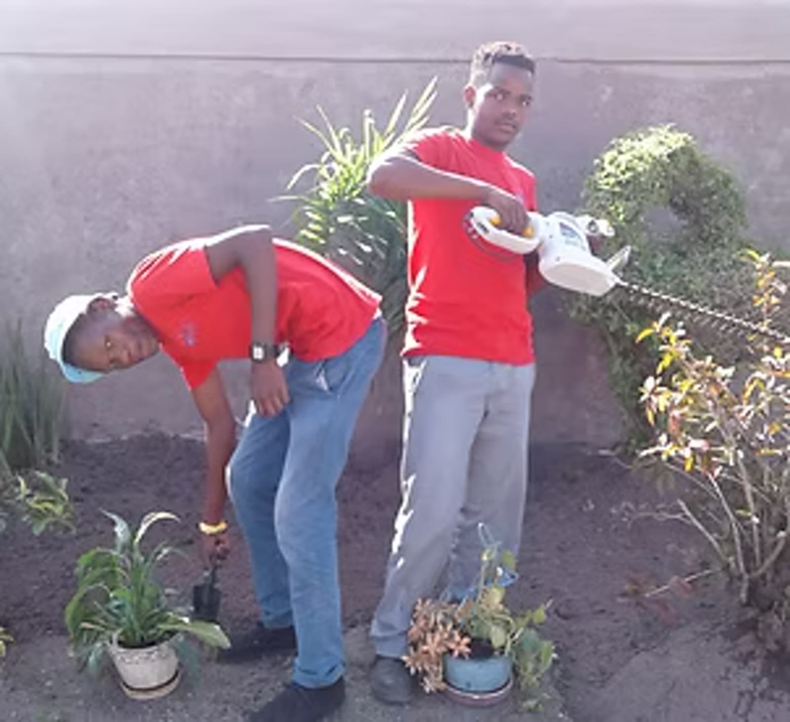 Mizo Hygiene Services staff maintaining a garden and outdoor area on site